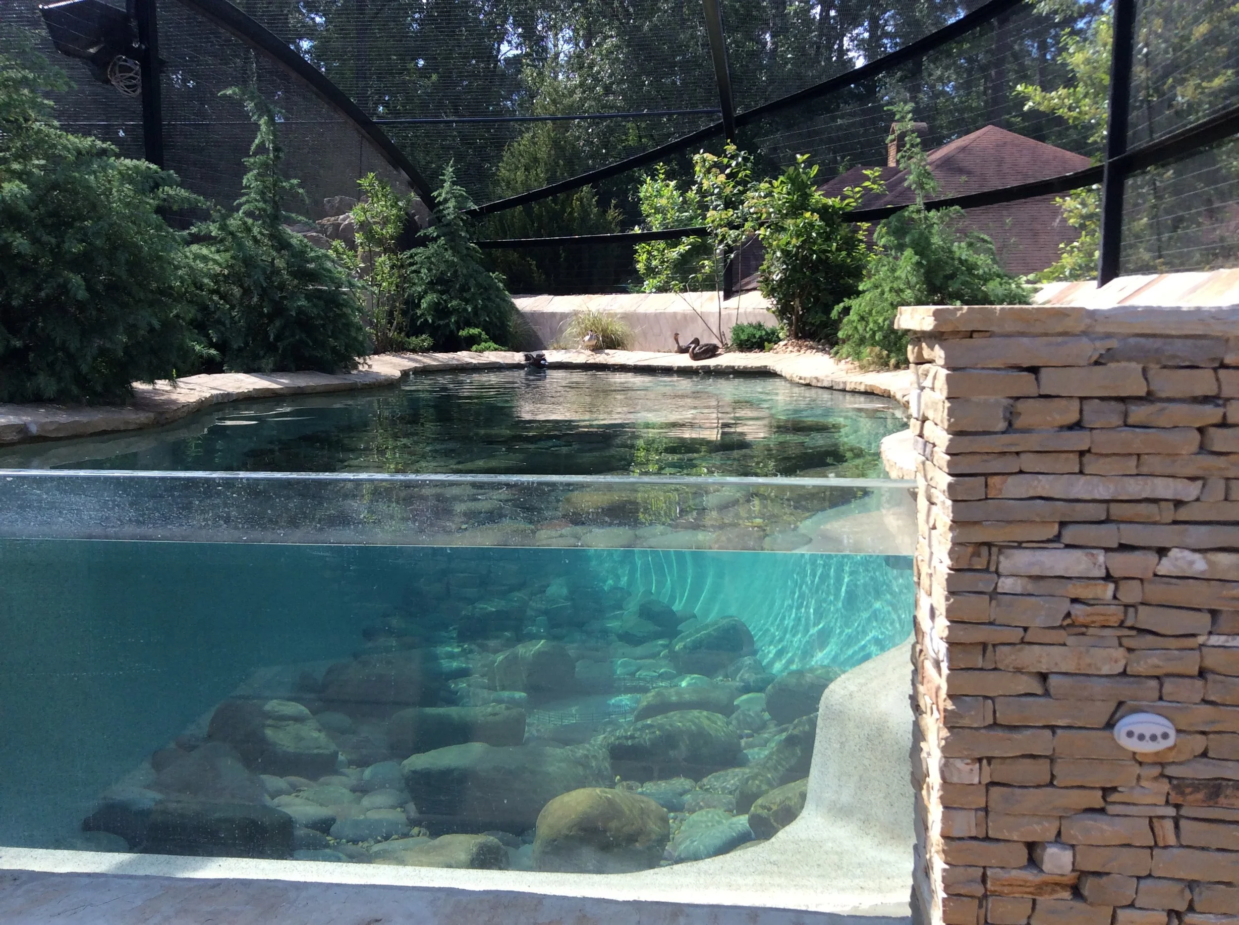 DICKSON AVIARY IMG_0182.JPG