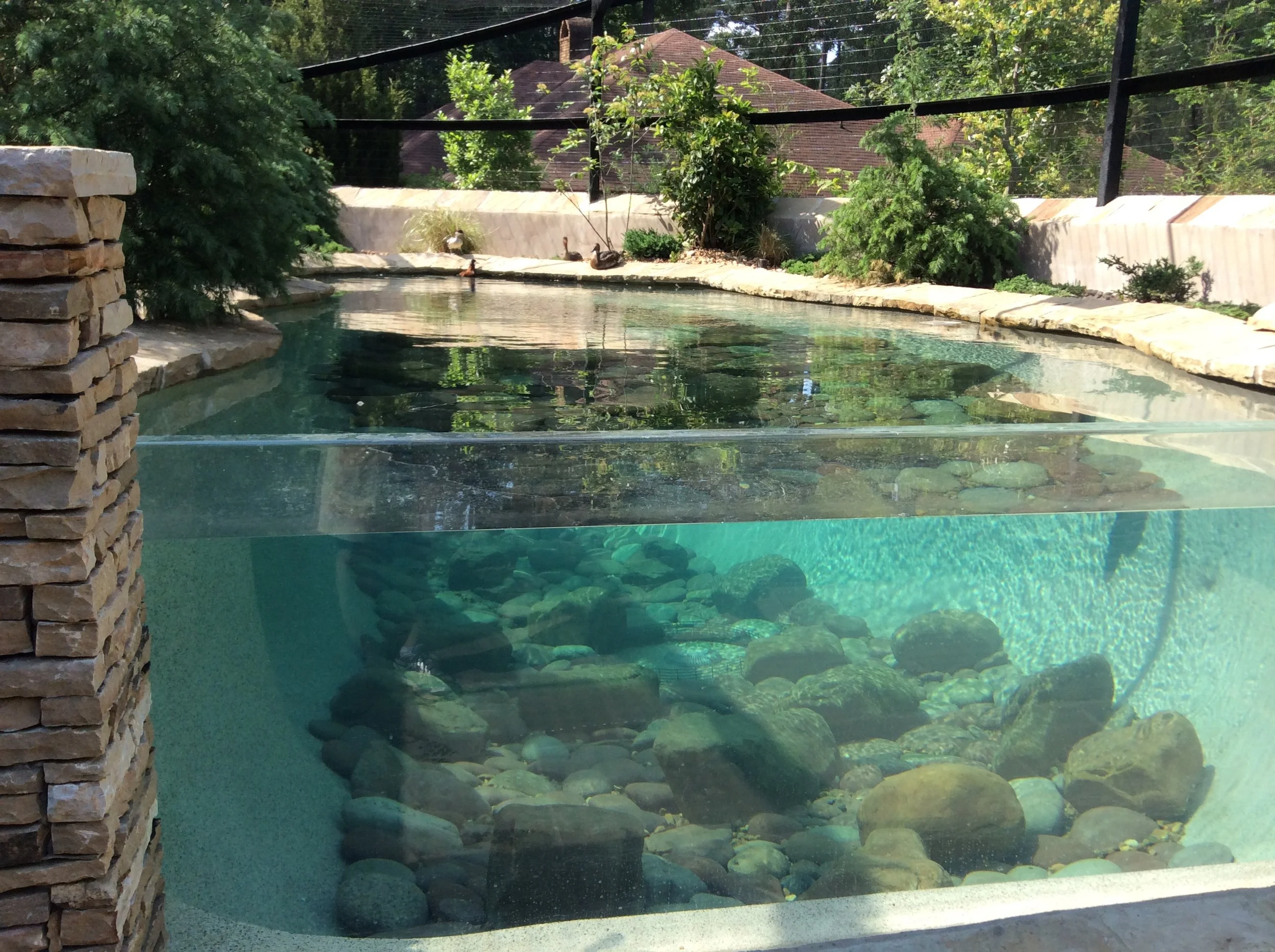 DICKSON AVIARY IMG_0181.JPG