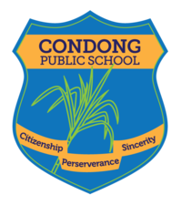 Condong Public School