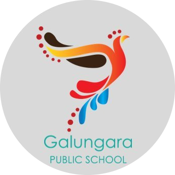Galungara Public School