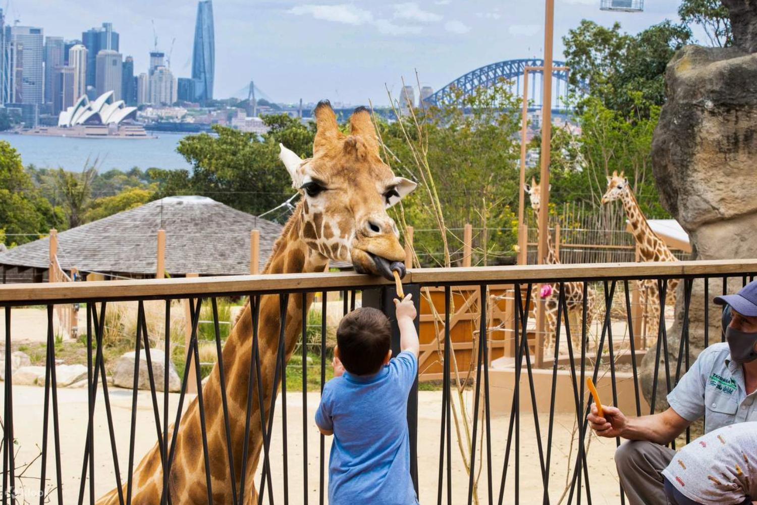 Taronga Zoo
