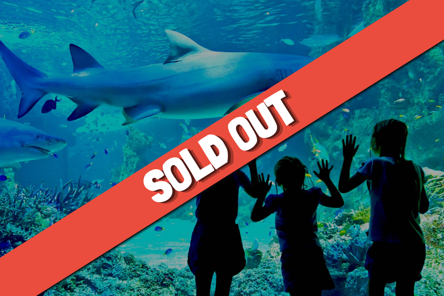 SEA LIFE Sydney Aquarium