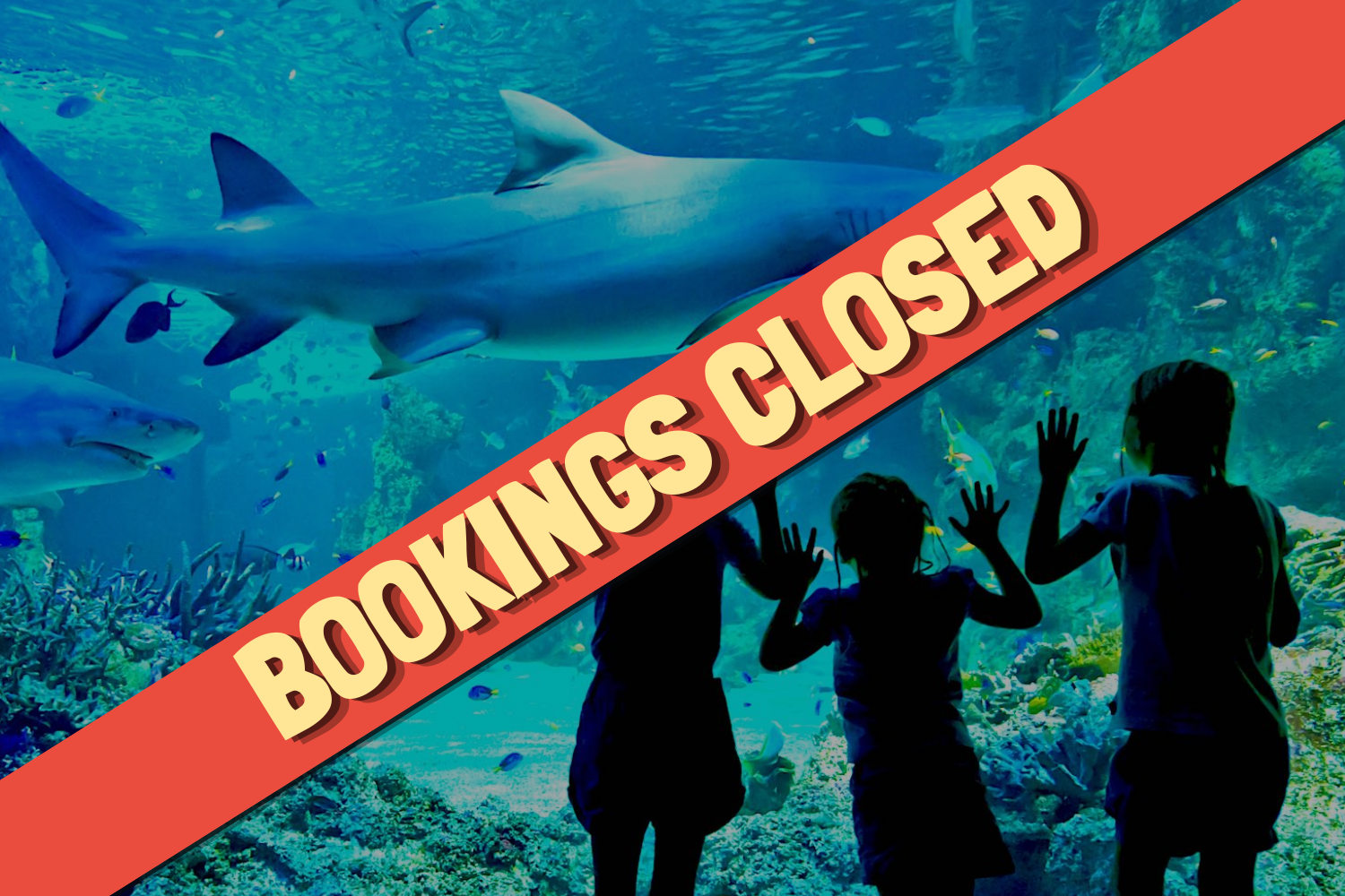 SEA LIFE Sydney Aquarium
