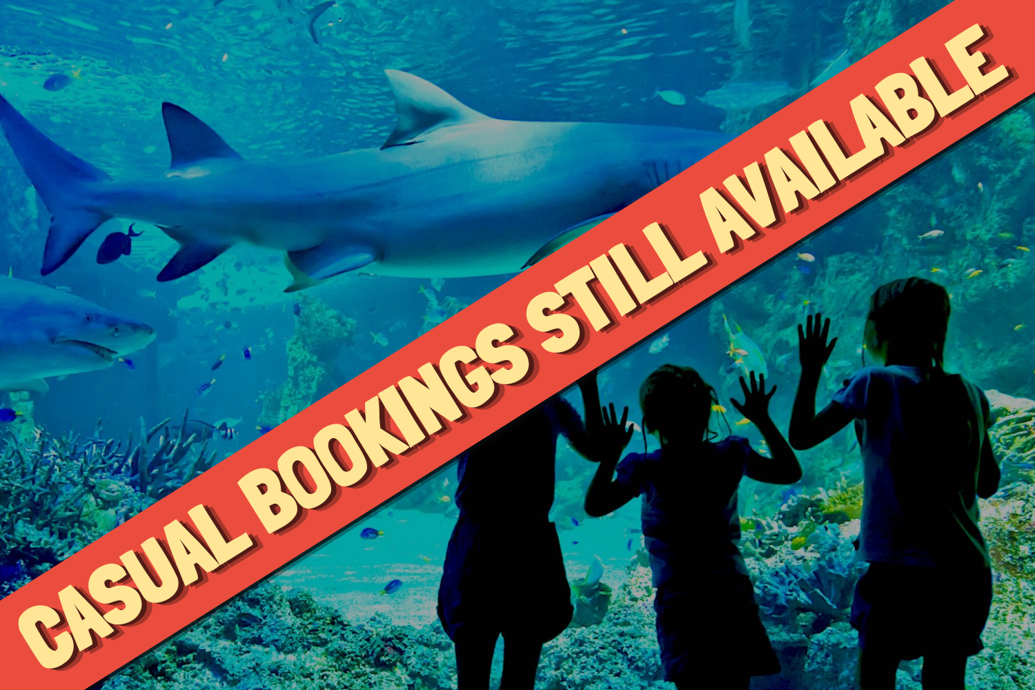 SEA LIFE Sydney Aquarium