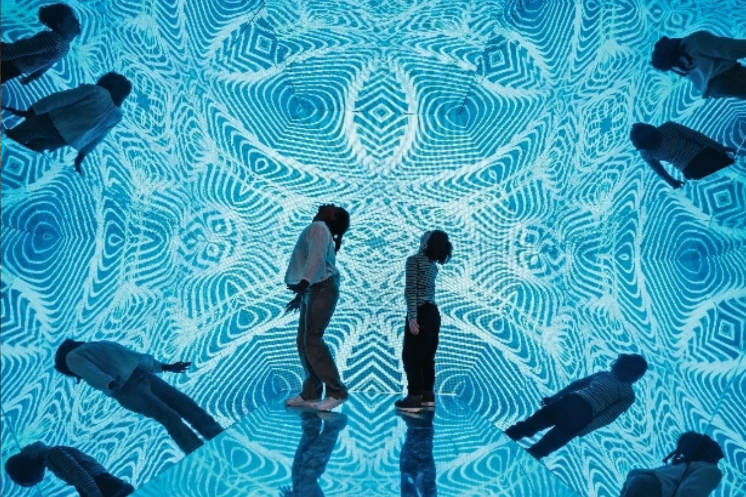 Museum of Illusions