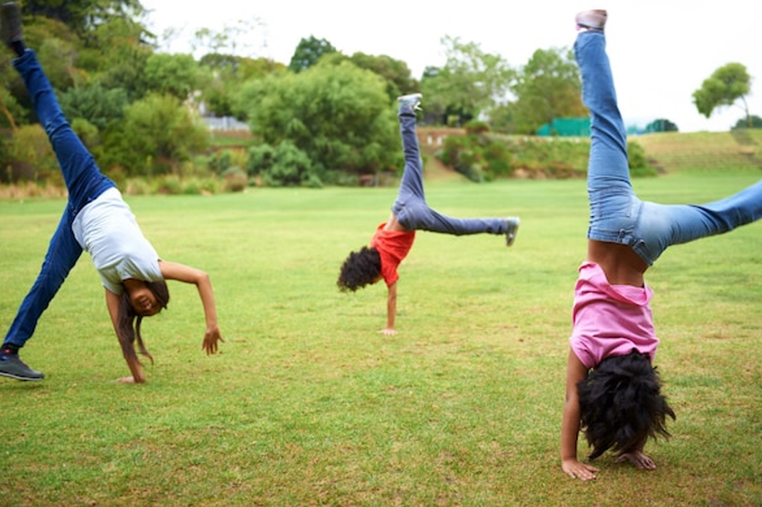 Gymnastics Workshop