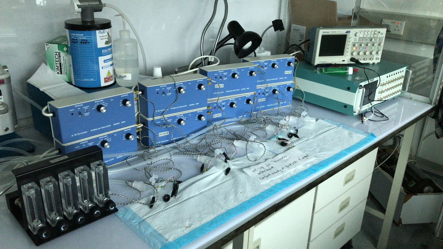 Join Us — DrLim Neuromodulation Lab