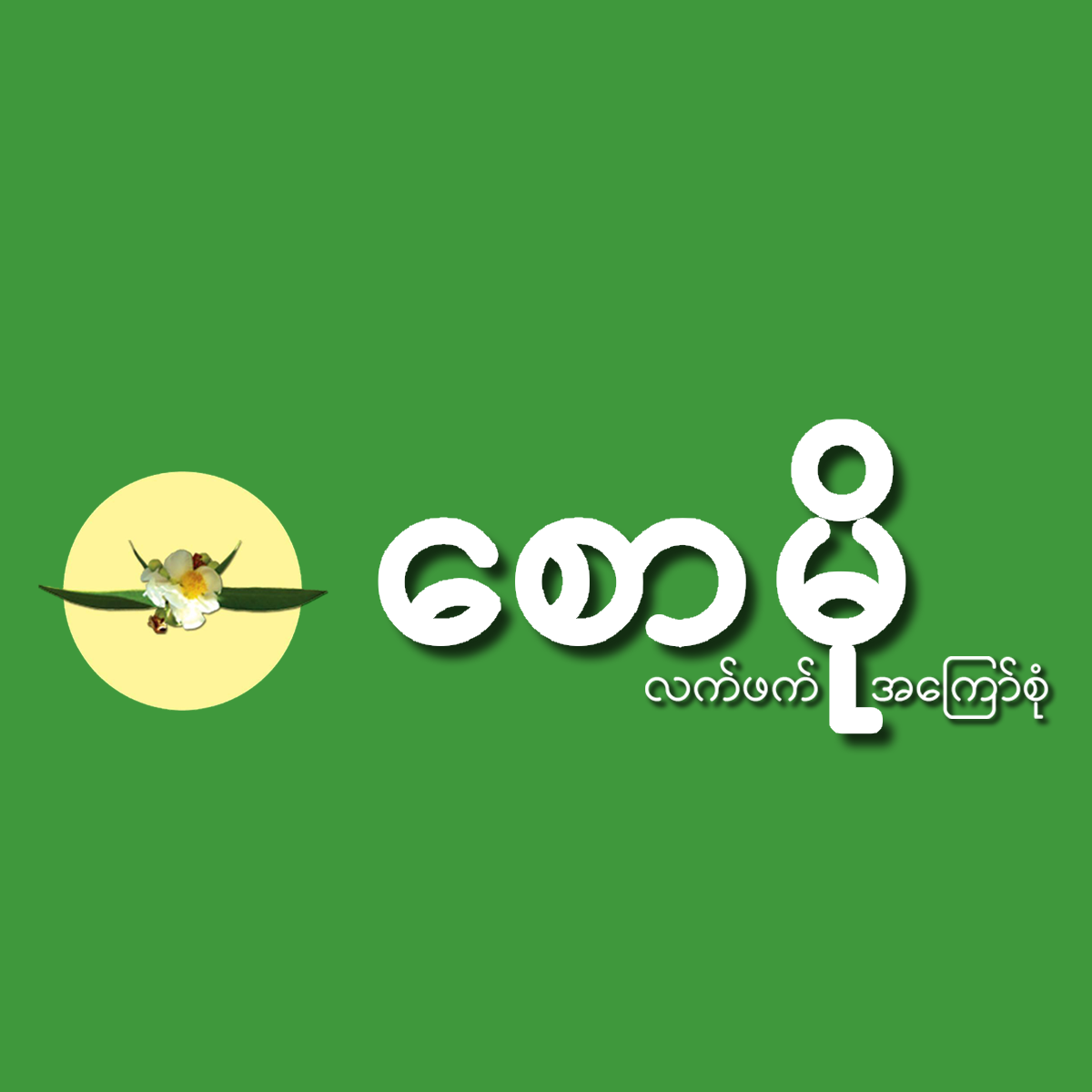 Shop Pickled Tea Leaves & Assorted Beans