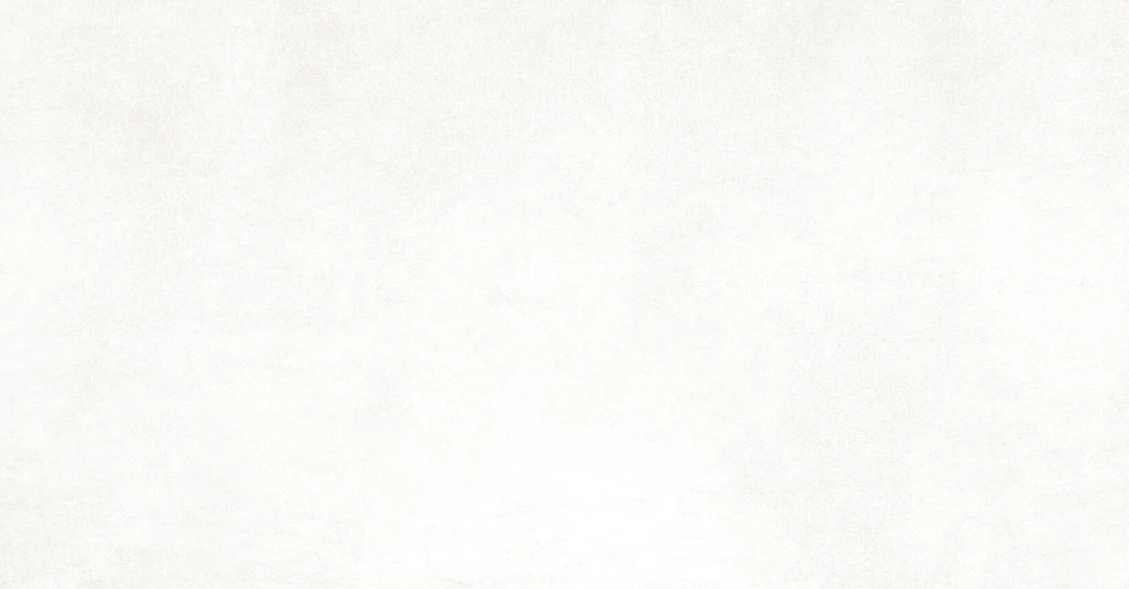 About Us — RI VegFest