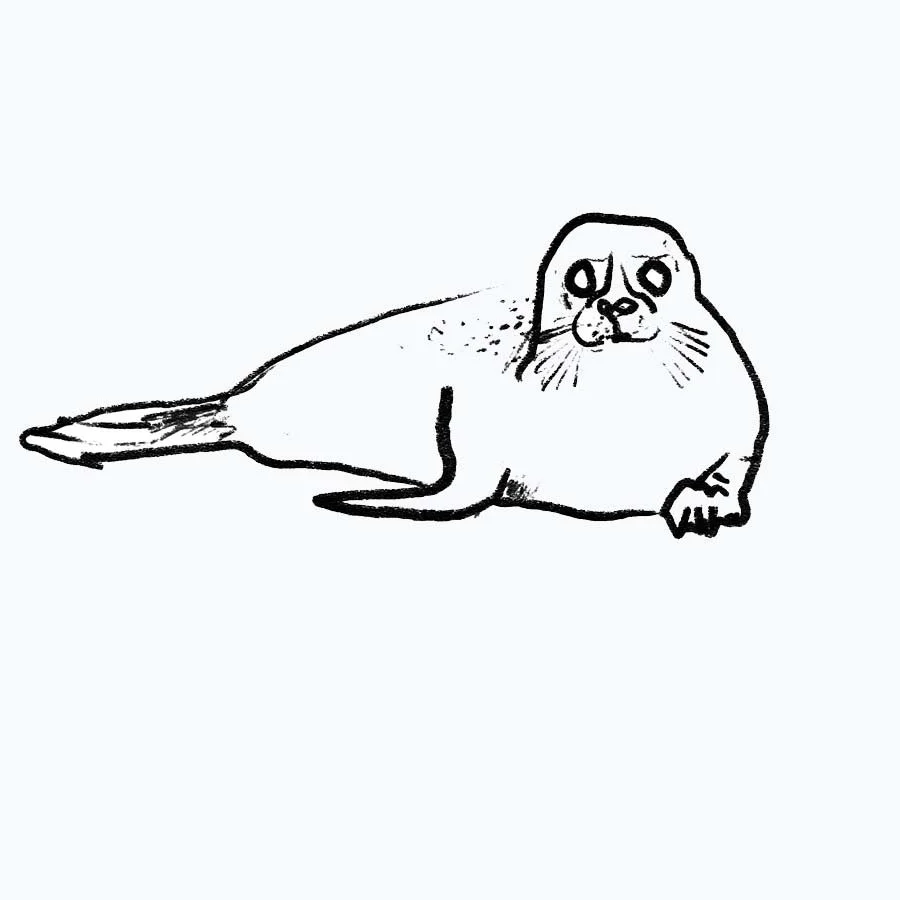 midcoast logo (1).jpg