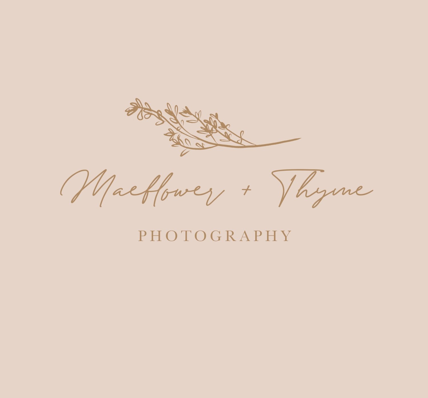 Maeflower and Thyme Photography