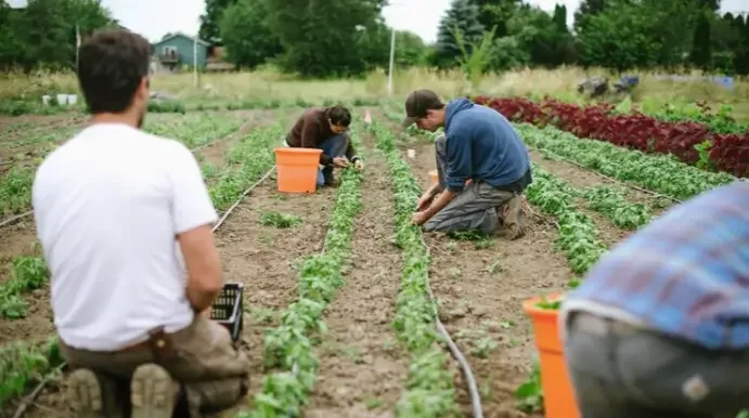 Angels for Angels Fiscally Sponsored Project Working Theory Farm