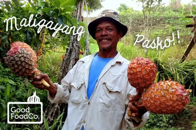 Smiling man holding three large ripe pineapples outdoors in a lush green garden, with text in Filipino saying "Maligayang Pasko!" and a logo that says "Good Food Co."