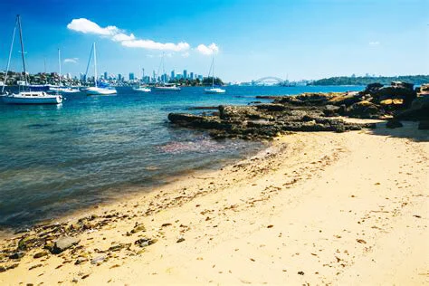 Milk Beach, Rose Bay