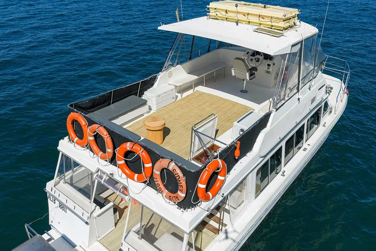 Ali B Champagne Sailing Sydney Boat