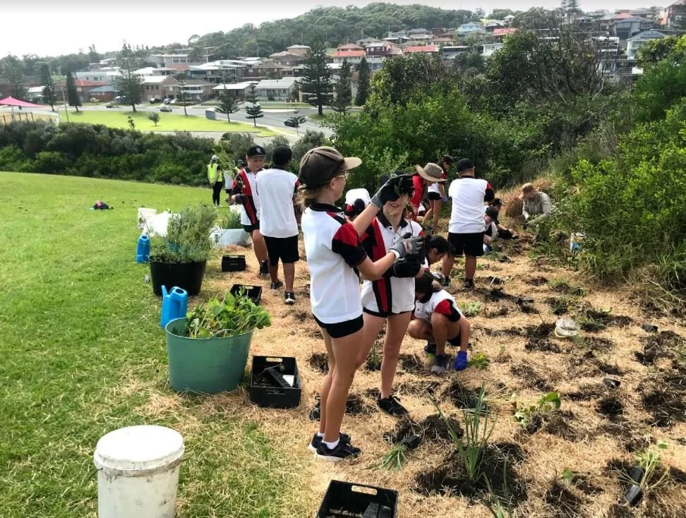 Community development from OCP and the tree planting program.JPG