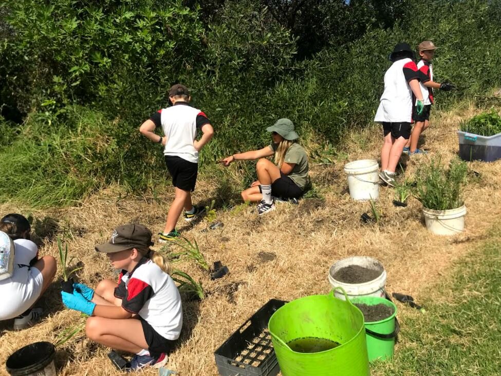 Greener streets in Port Kembla thanks to the kids and our community project.JPG