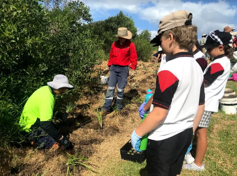 Our community project urban tree planting in port kembla.JPG