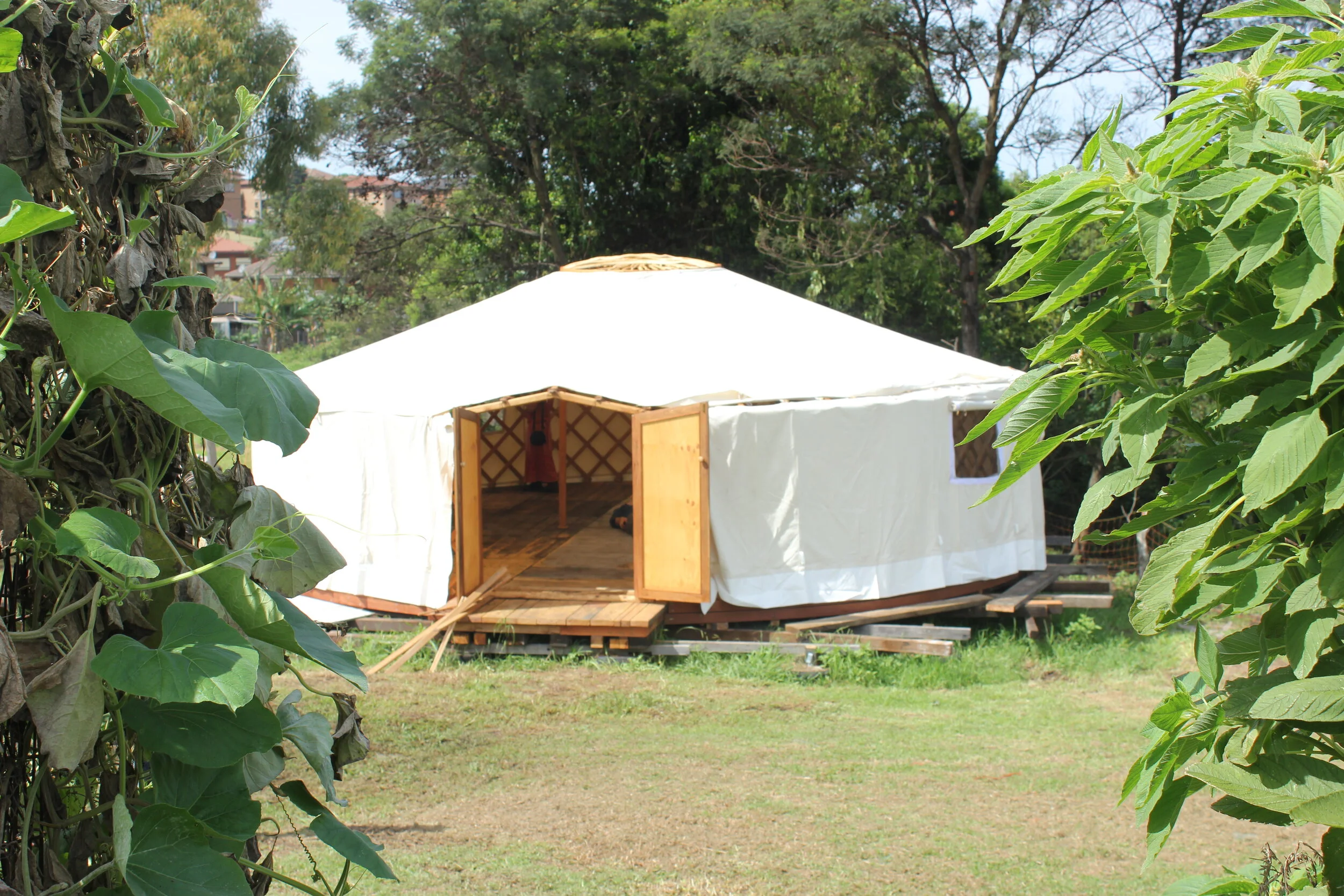 36 OCP Urban Grown building a Yurt frame.JPG