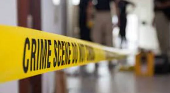 ajcrimeand trauma.JPG