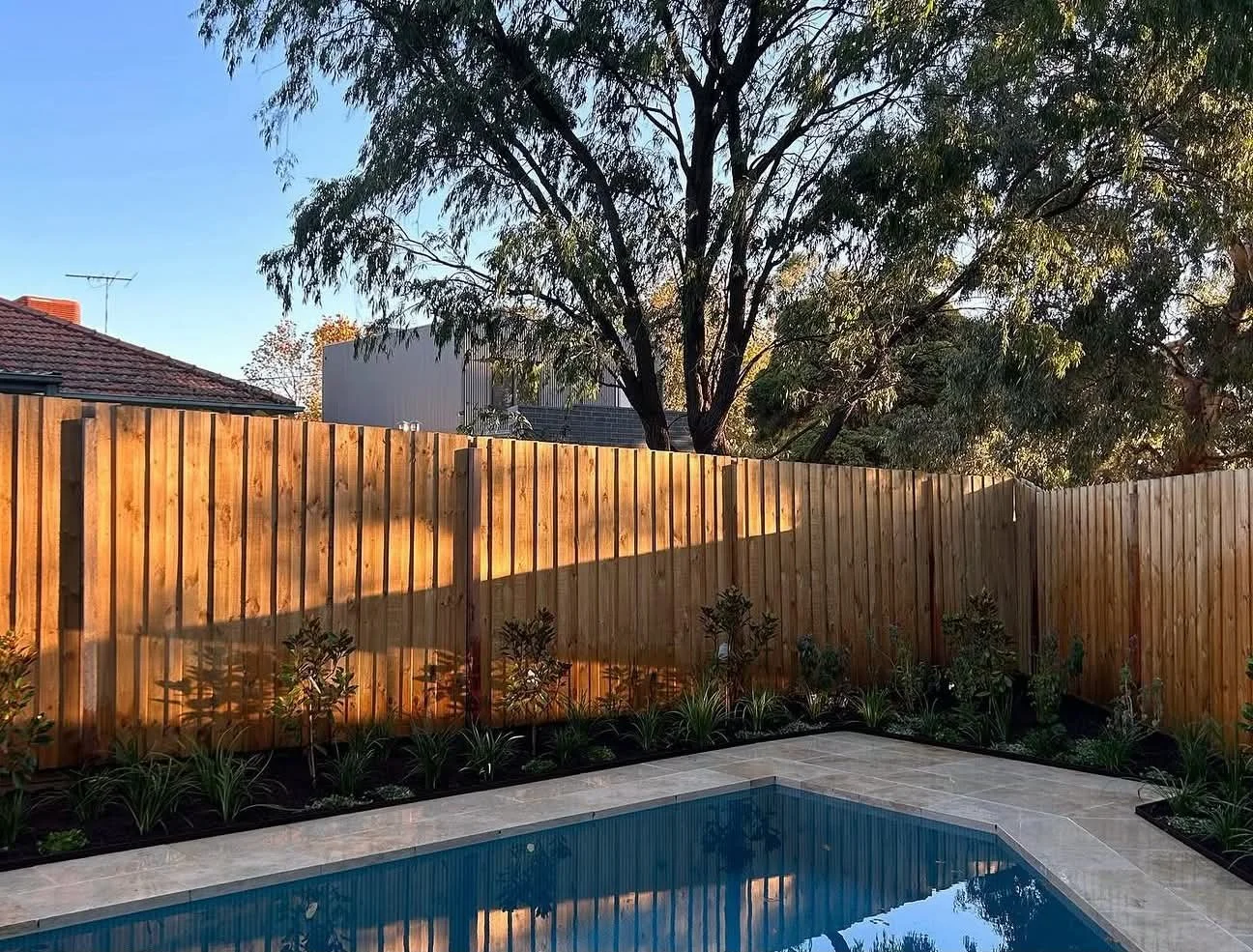 Established residential garden maintained through ongoing horticultural care and seasonal garden management.