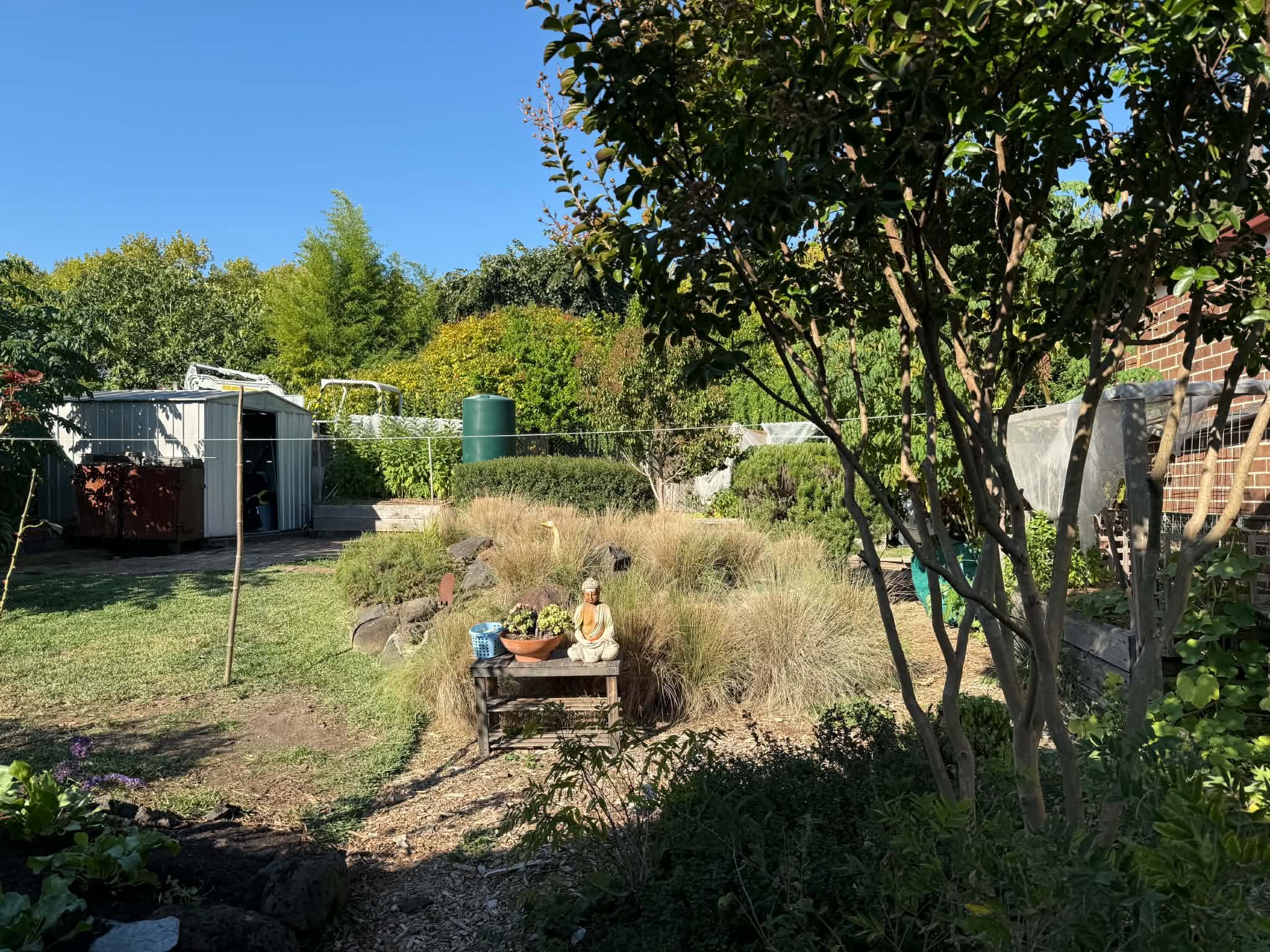 Residential garden in Northcote Melbourne prior to rejuvenation works showing limited structure and overgrown planting.