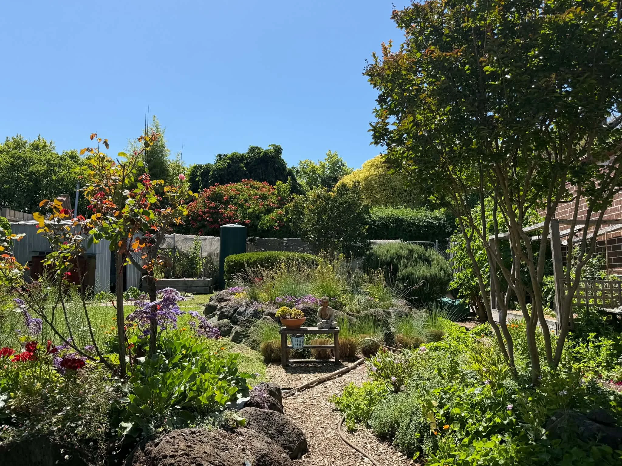 Northcote garden rejuvenation project completed by AC Trees & Gardens showing improved structure, planting and usability.