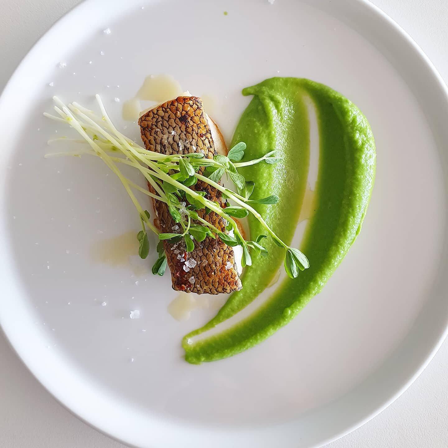 @glacier51toothfish 
.
.
pea / watercress