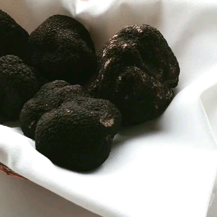 TARTUFI

Sensational black truffles from Frank Curranti's Hidden Valley Goulburn farm have arrived at Ecco! Stay posted for some lovely new menu items over the next month showcasing these little gems from Frank and his little helper Banjo!