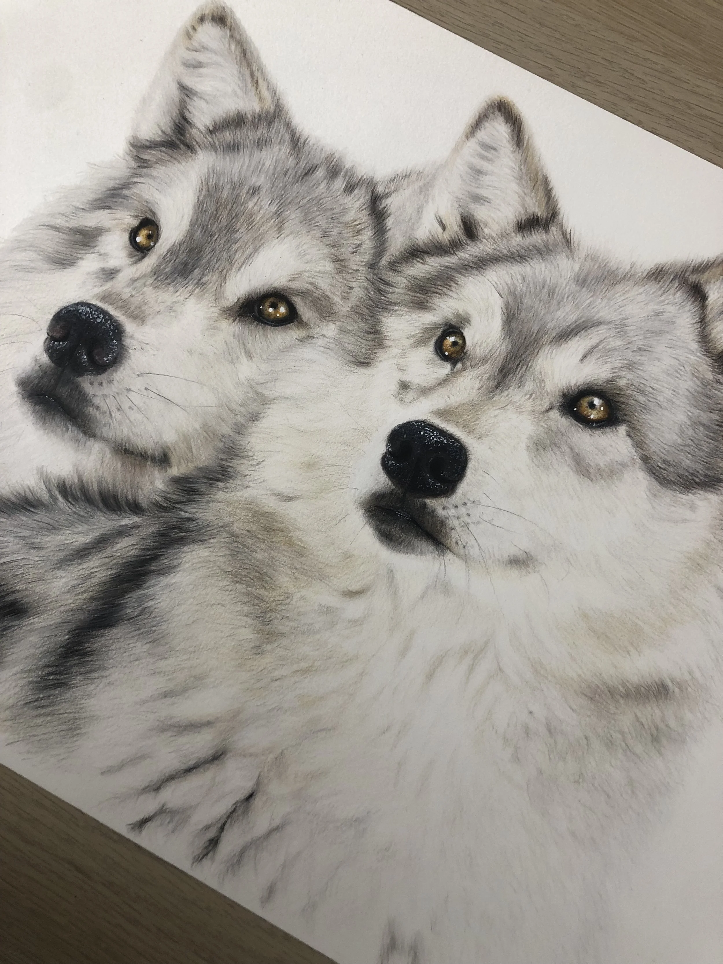 In Their Eyes - Original Artwork