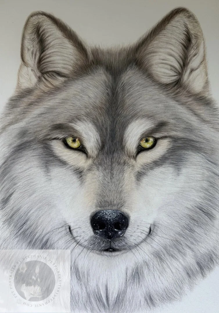 The Gaze - Original Artwork