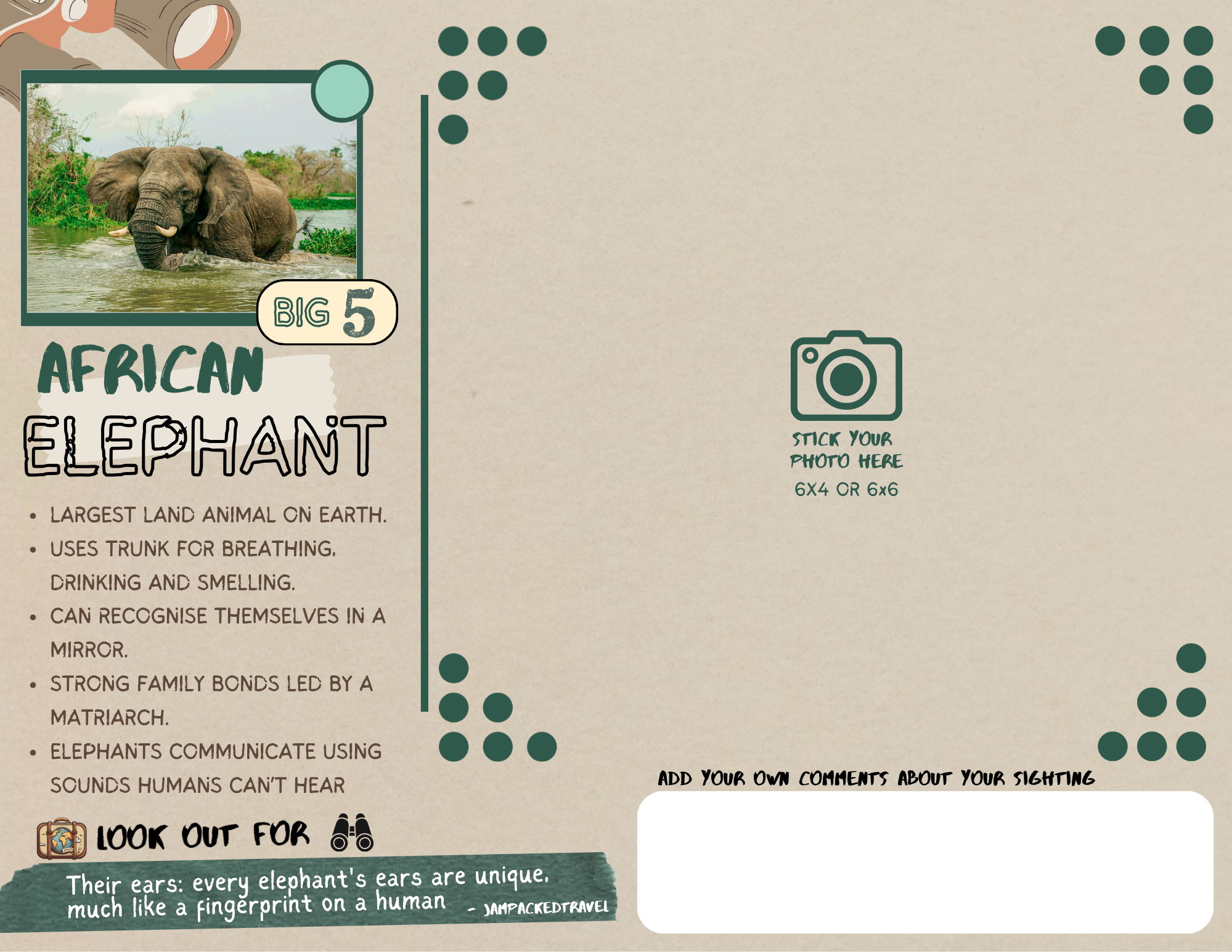 Copy of Jampacked Safari Book (3).png