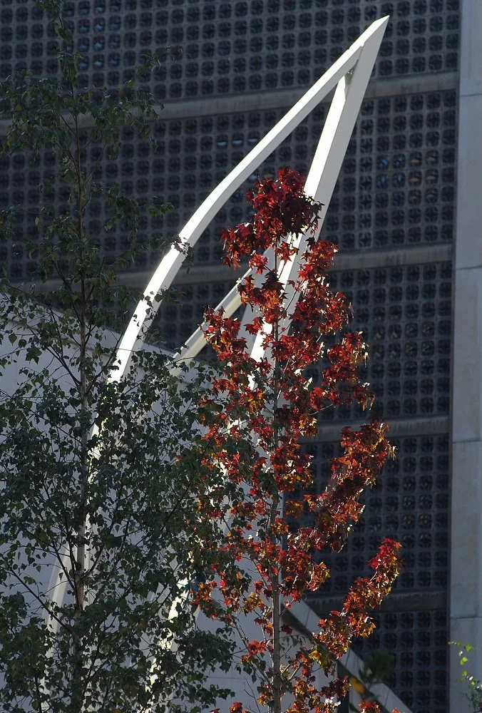 JAAM- plaza indautxu (19).JPG