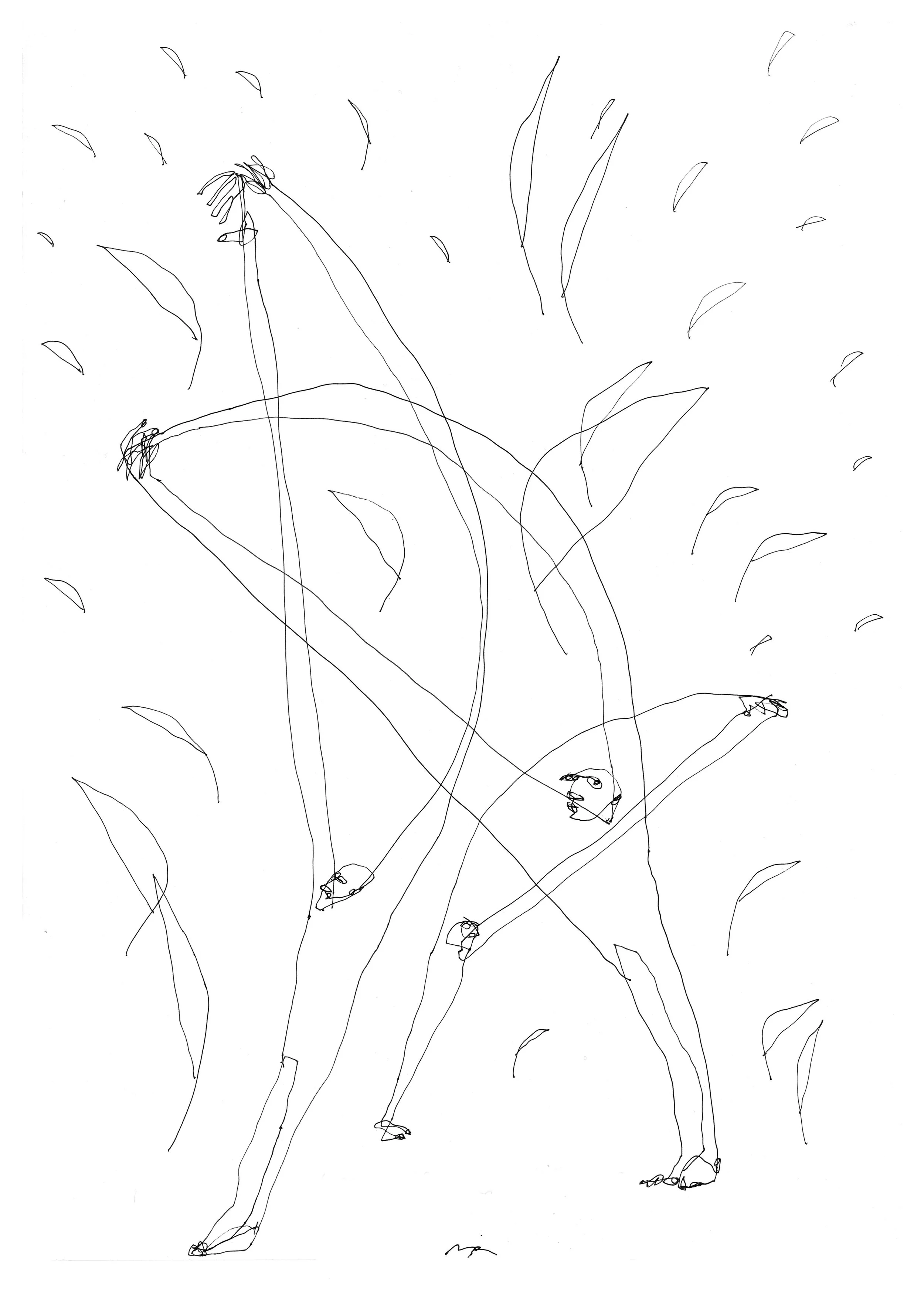 jaam indautxu drawing 1.jpg