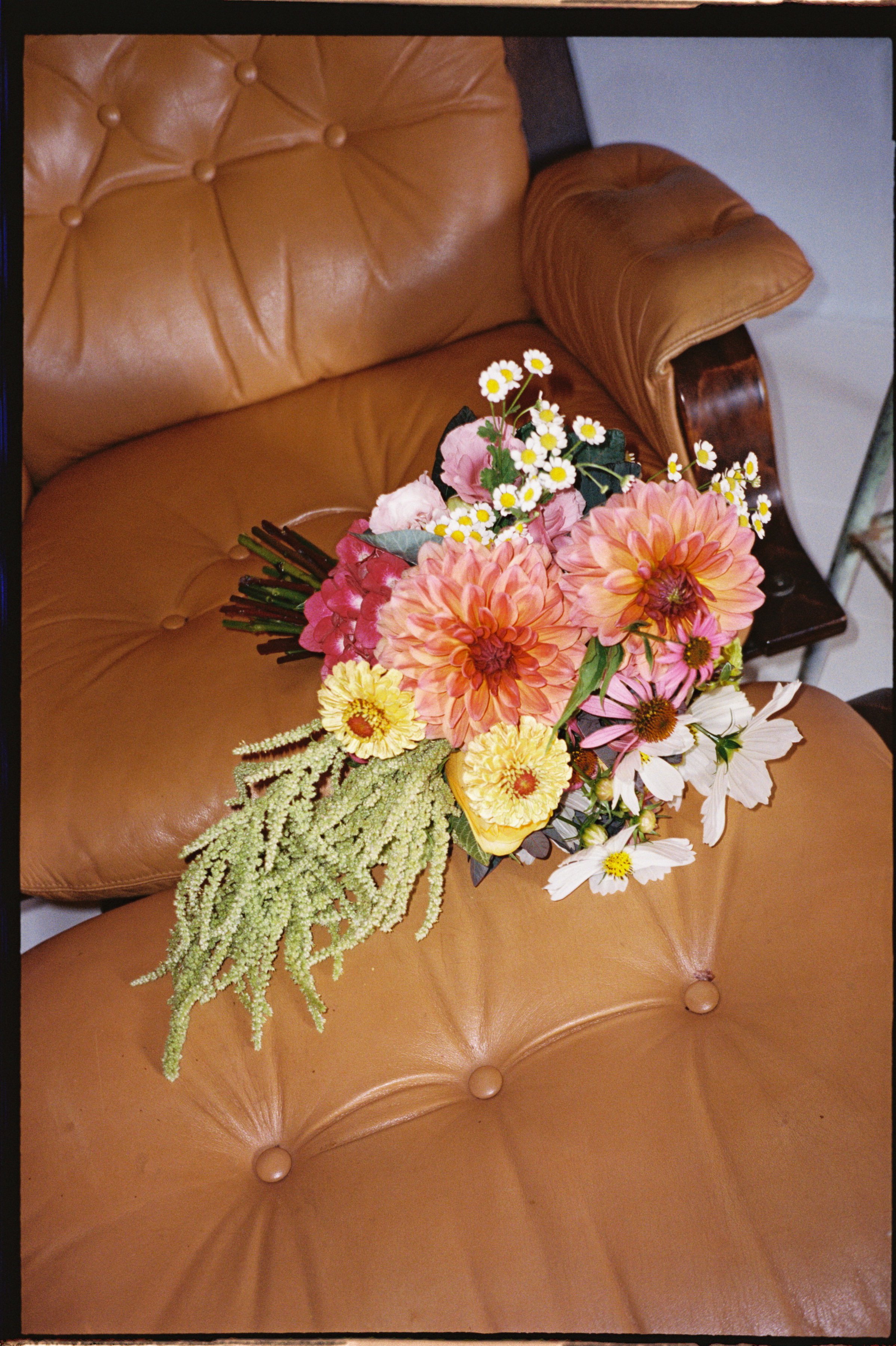CELESTA&HAGEN_JENTIGHEPHOTO-978.jpg
