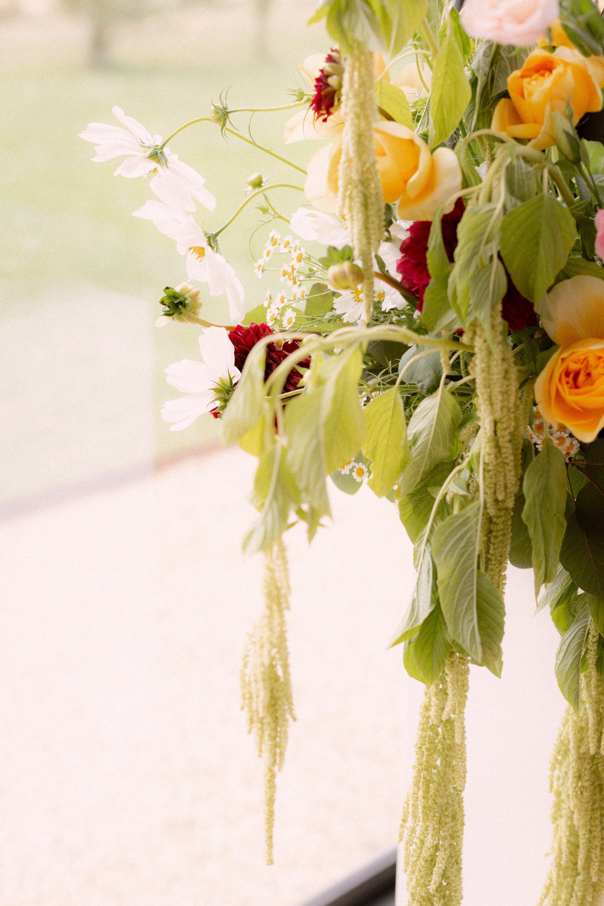 CELESTA&HAGEN_JENTIGHEPHOTO-541.jpg