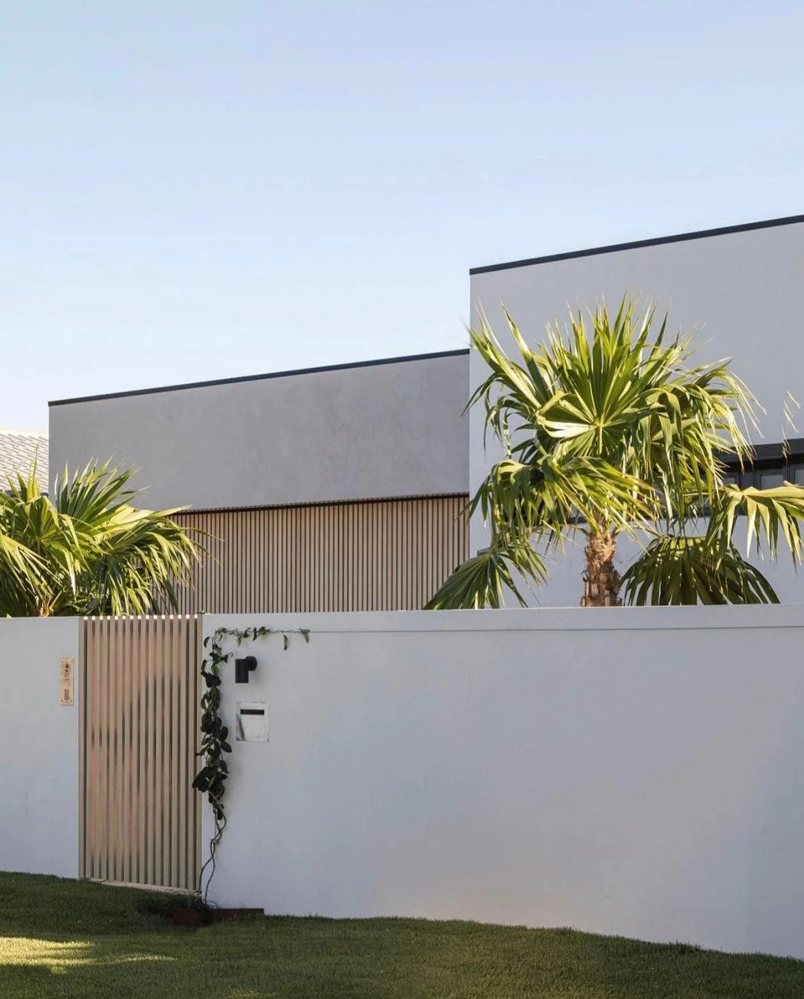 microcement-home-sunshine-coast.jpeg