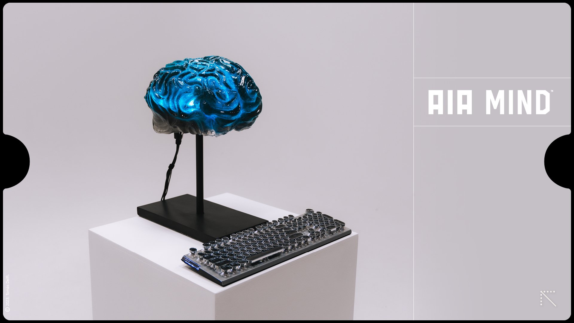 Capas nova disposiçao3.jpg