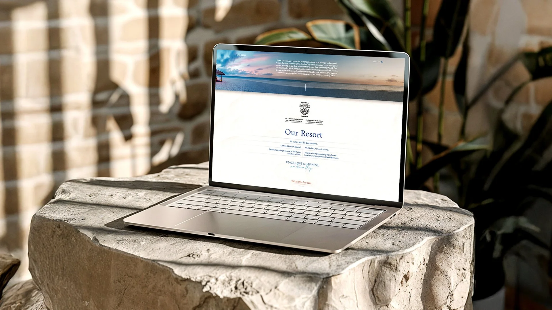 branding, logo, symbol, icon, photography, 3d mockups, brand applications, color, typography, design, art direction, copywriting, illustration, video, advertising, website, web design, UX/ui, USA, New York, USA, Aruba, Eagle Beach, Resort, rebranding