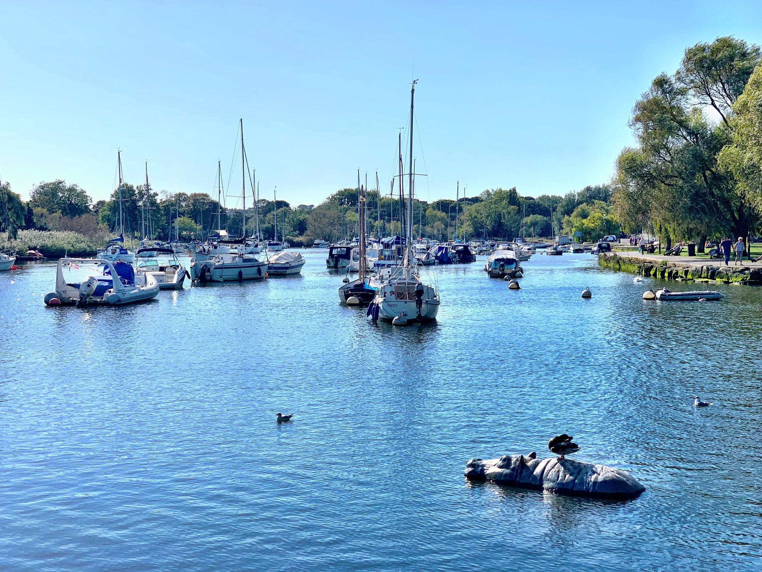 Places to Paddle in Dorset WimbSupHire Paddleboard Hire