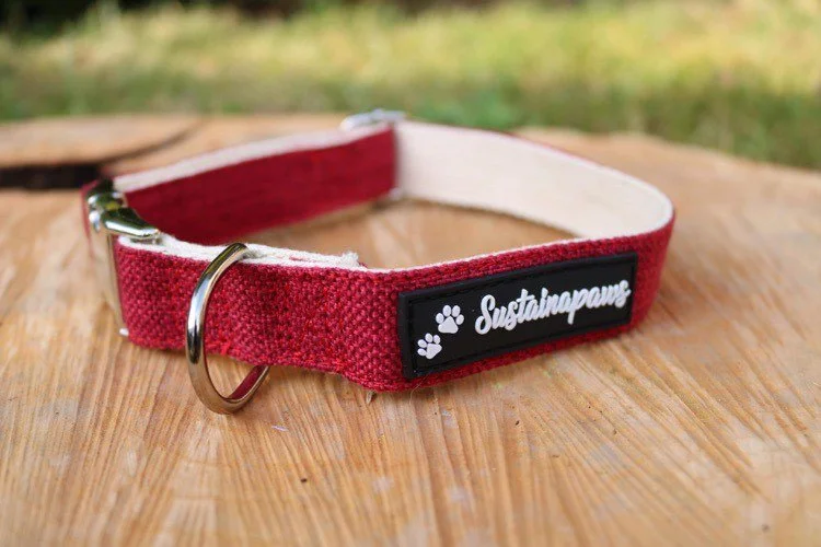 Sustainapaws hemp and organic cotton dog collar and lead set