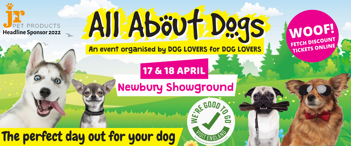All About Dogs Newbury