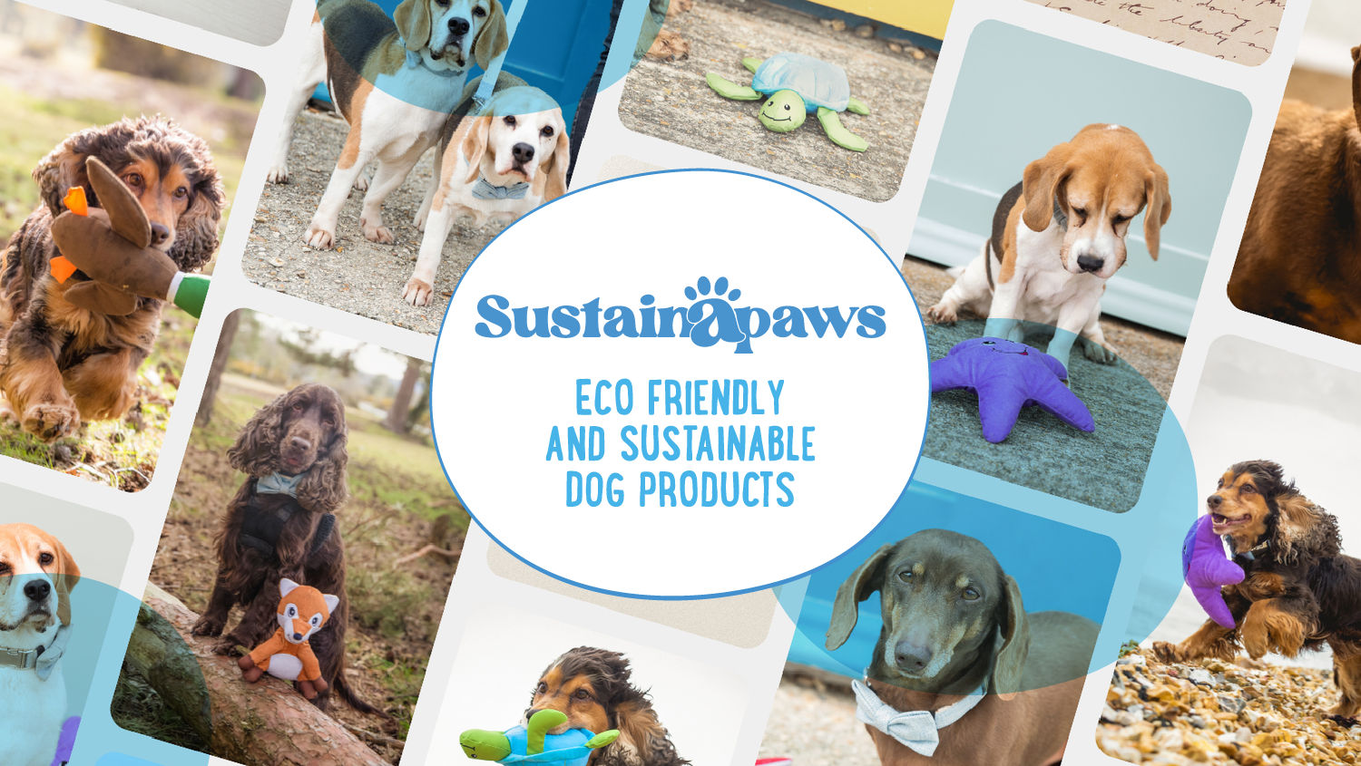 Green Paws: Eco-Friendly Delights for Your Pet