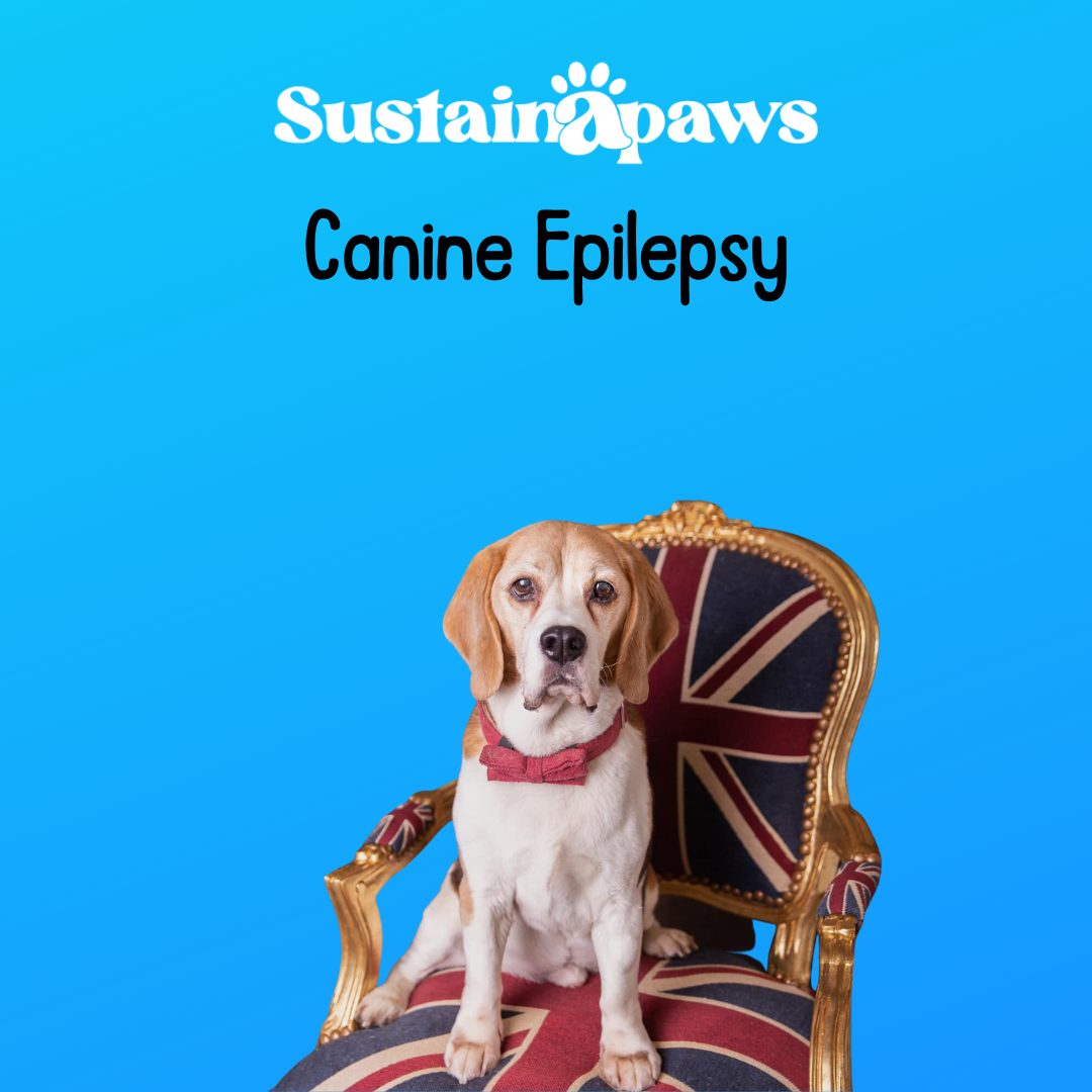 Stunning Dog Epilepsy Prevention Through Diet Changes image