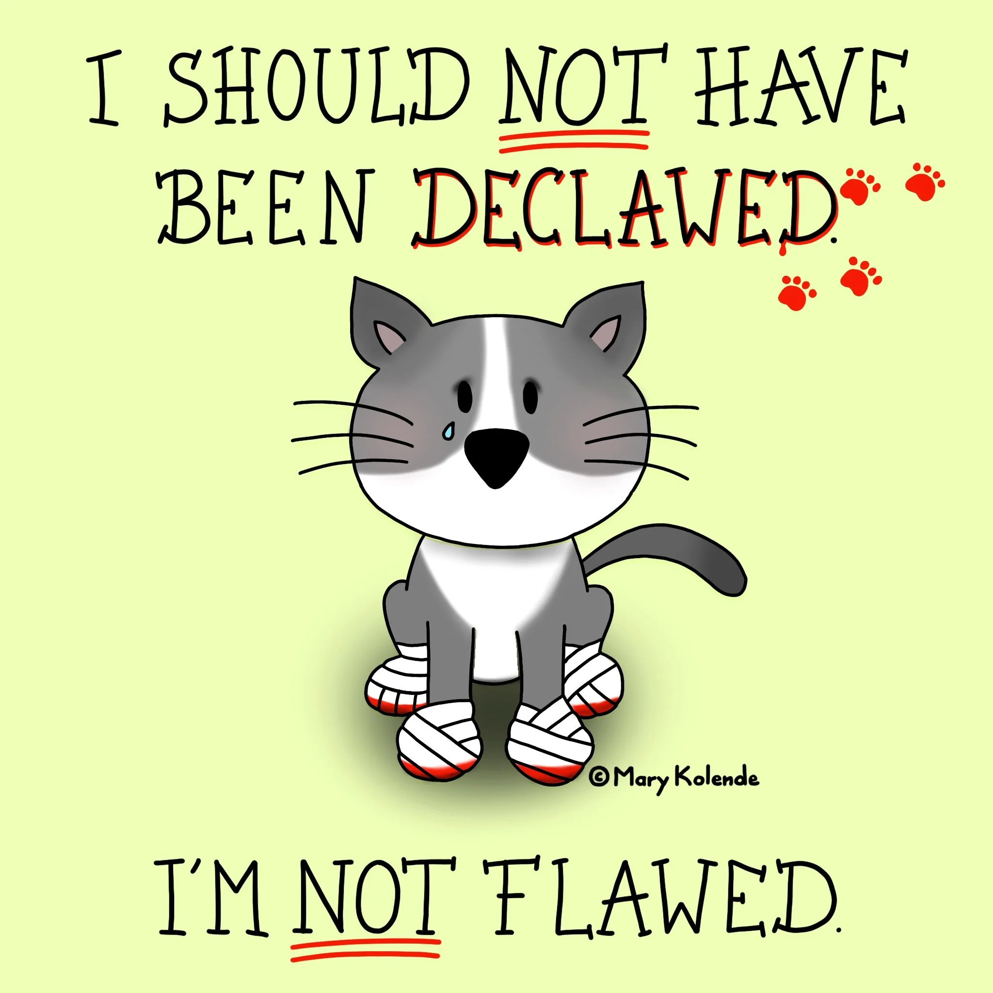 Declawing cats is cruel & unnecessary
