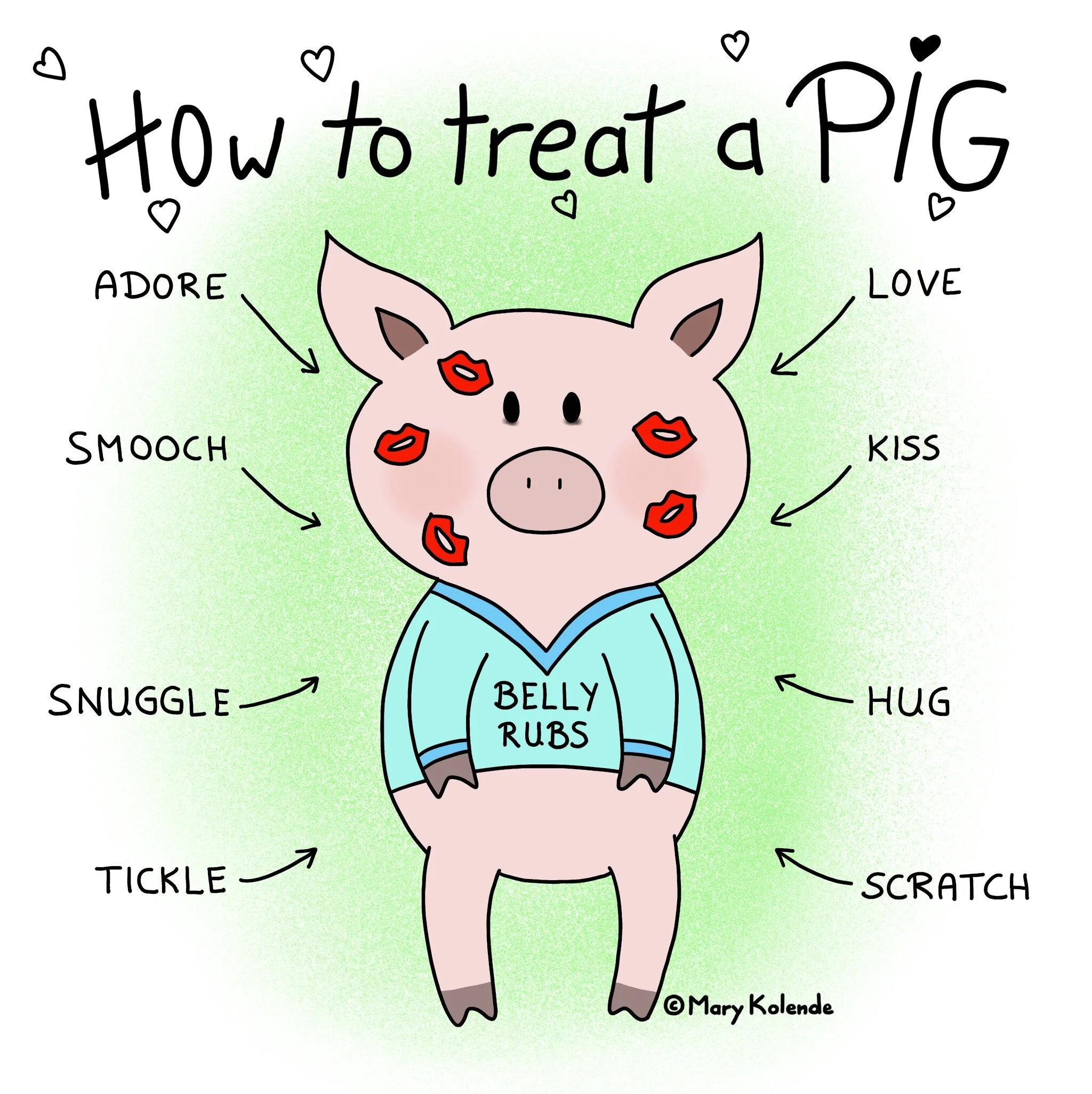 How to treat a Pig