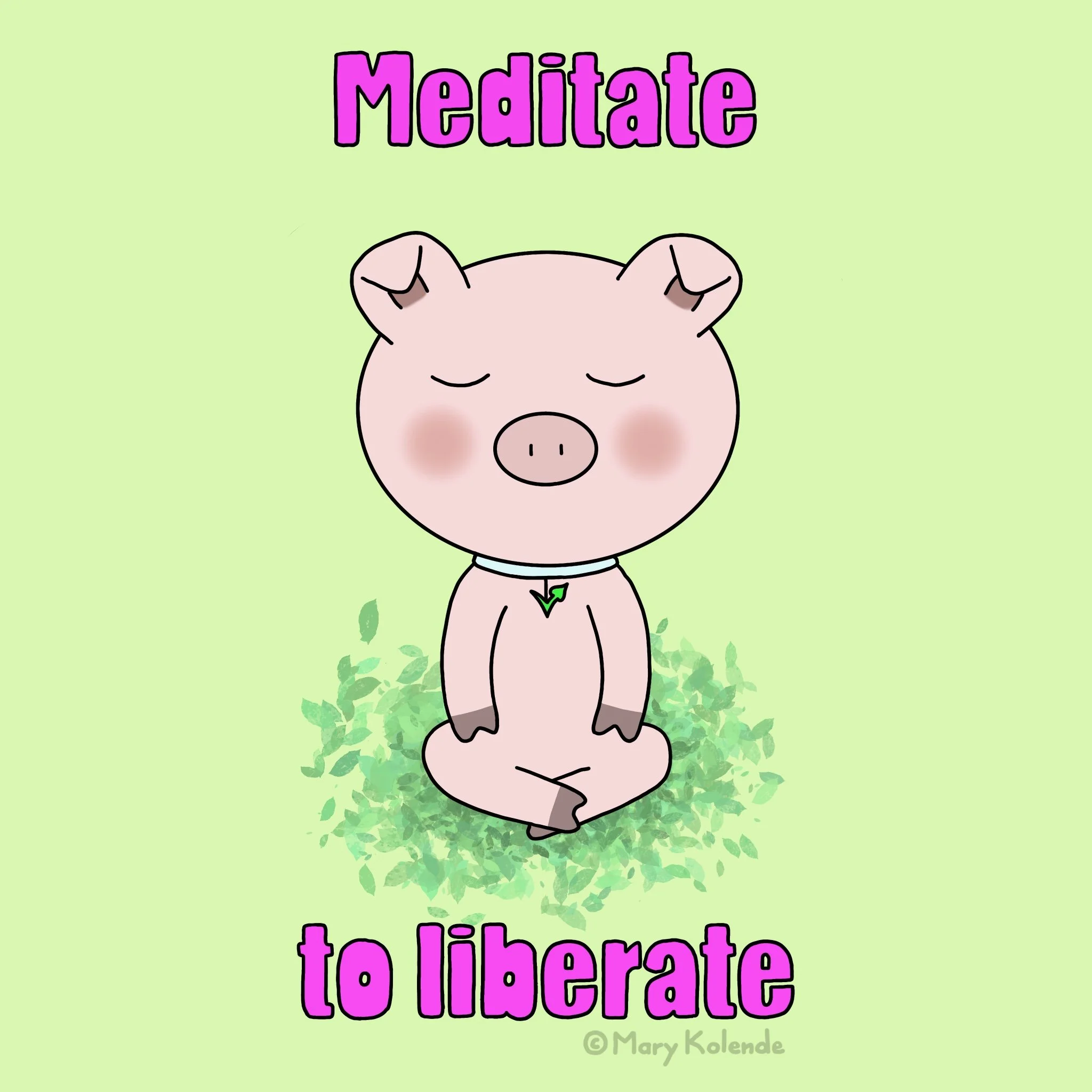 Meditate to liberate