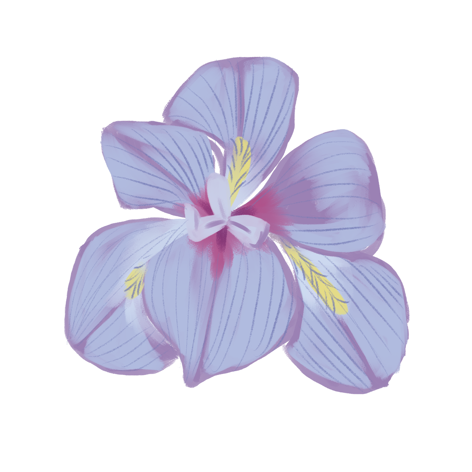 Azzouzillustrations
