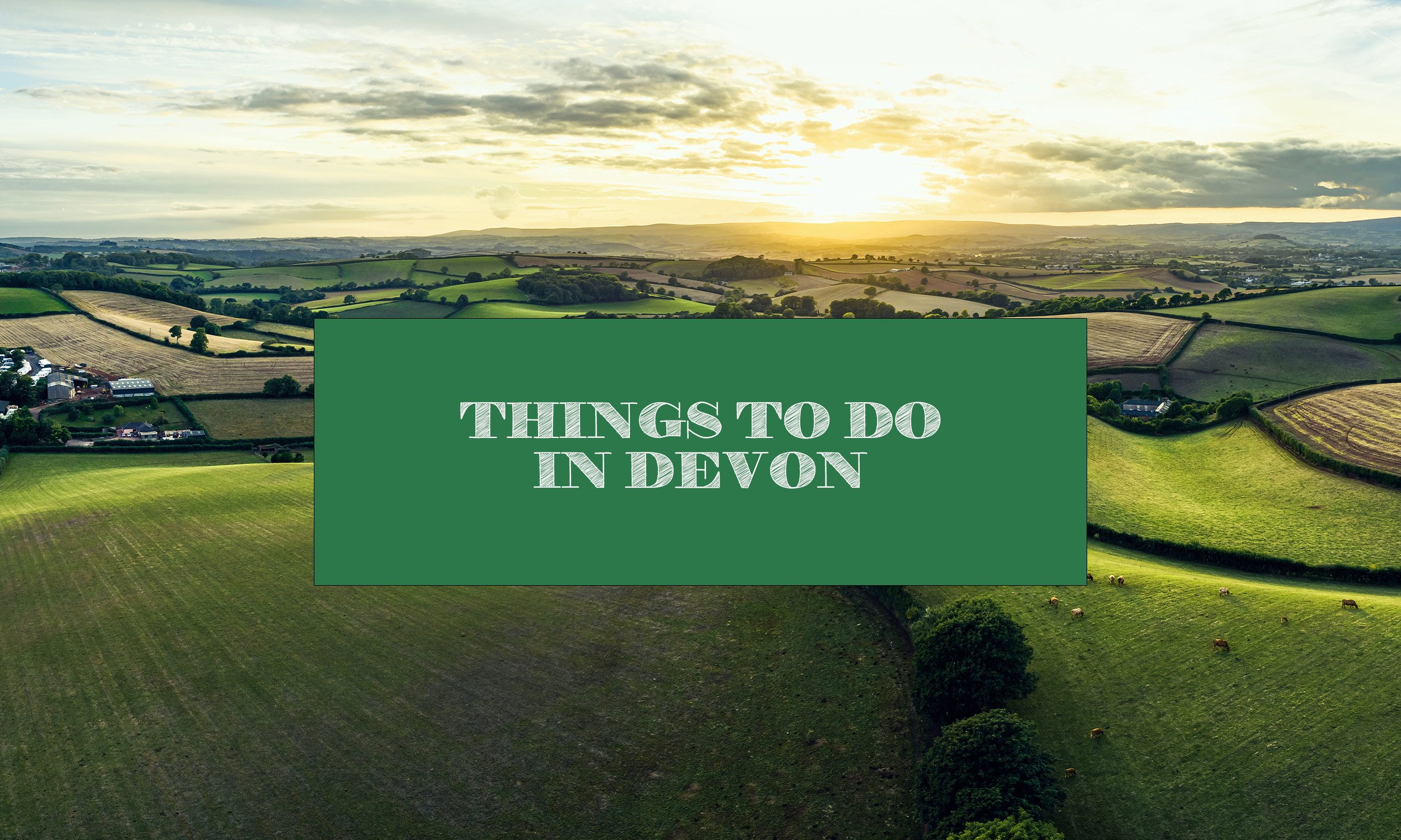 Things To Do in Devon