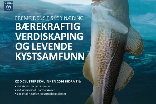 COD CLUSTER HAR SØKT OM ARENA PRO-STATUS — CodCluster